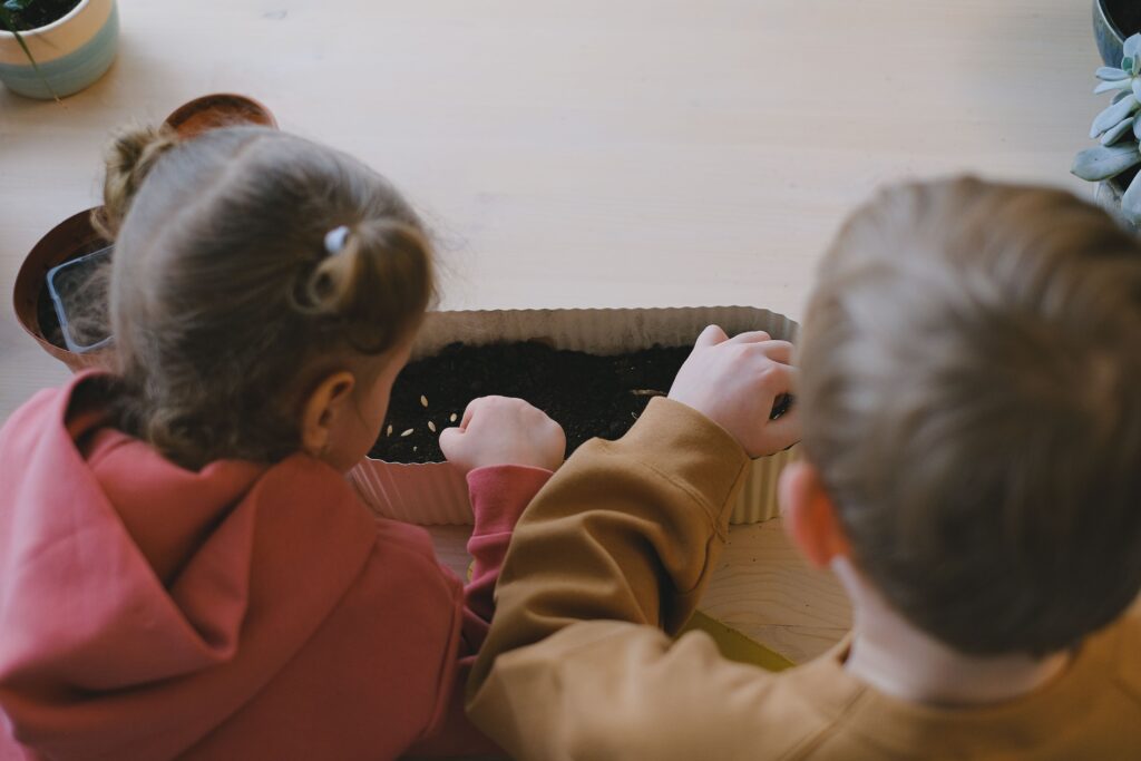 how to teach kids about plants and seeds at home a fun, hands on guide (3)