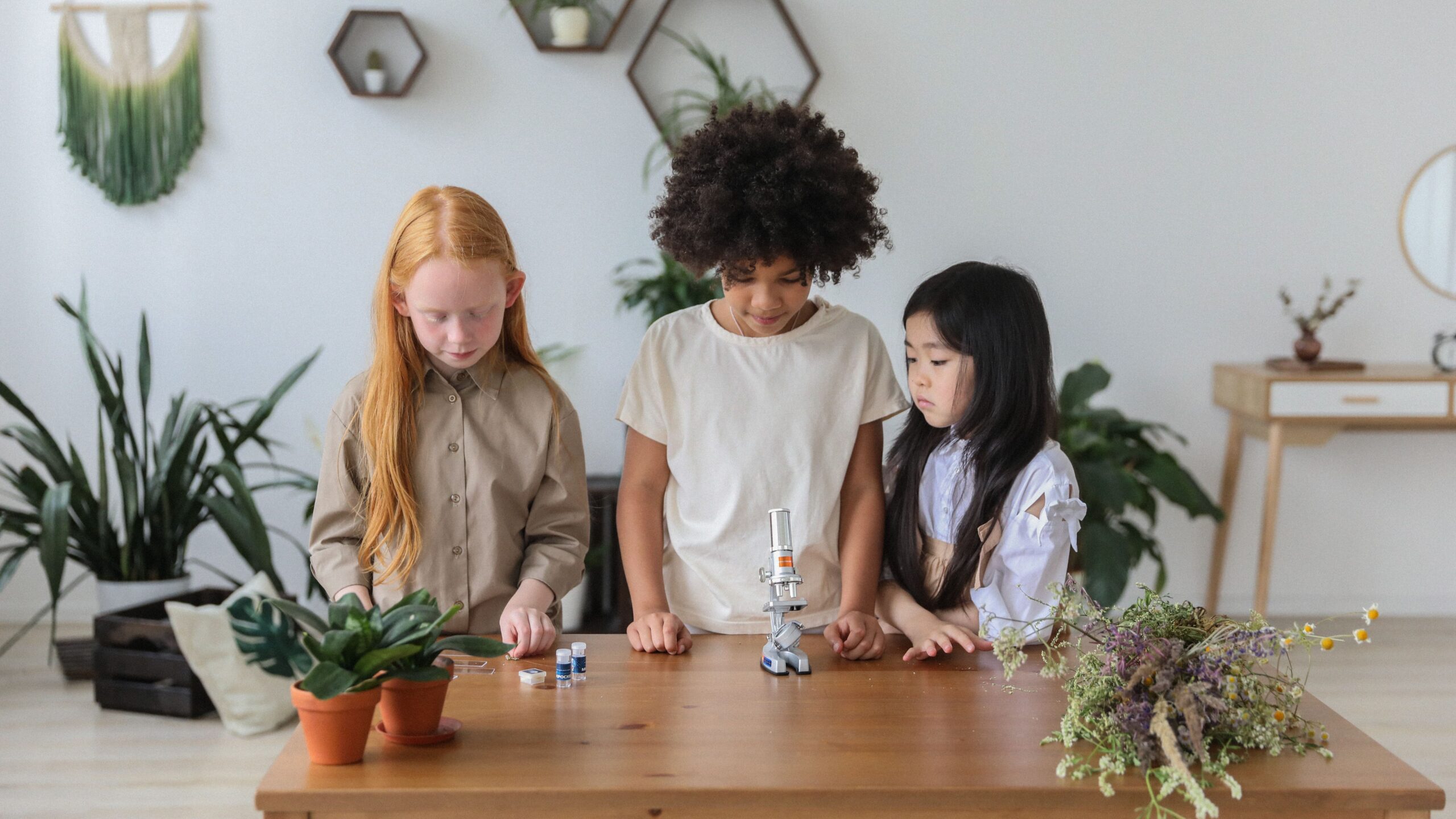easy science experiments for kids at home learning that feels like play
