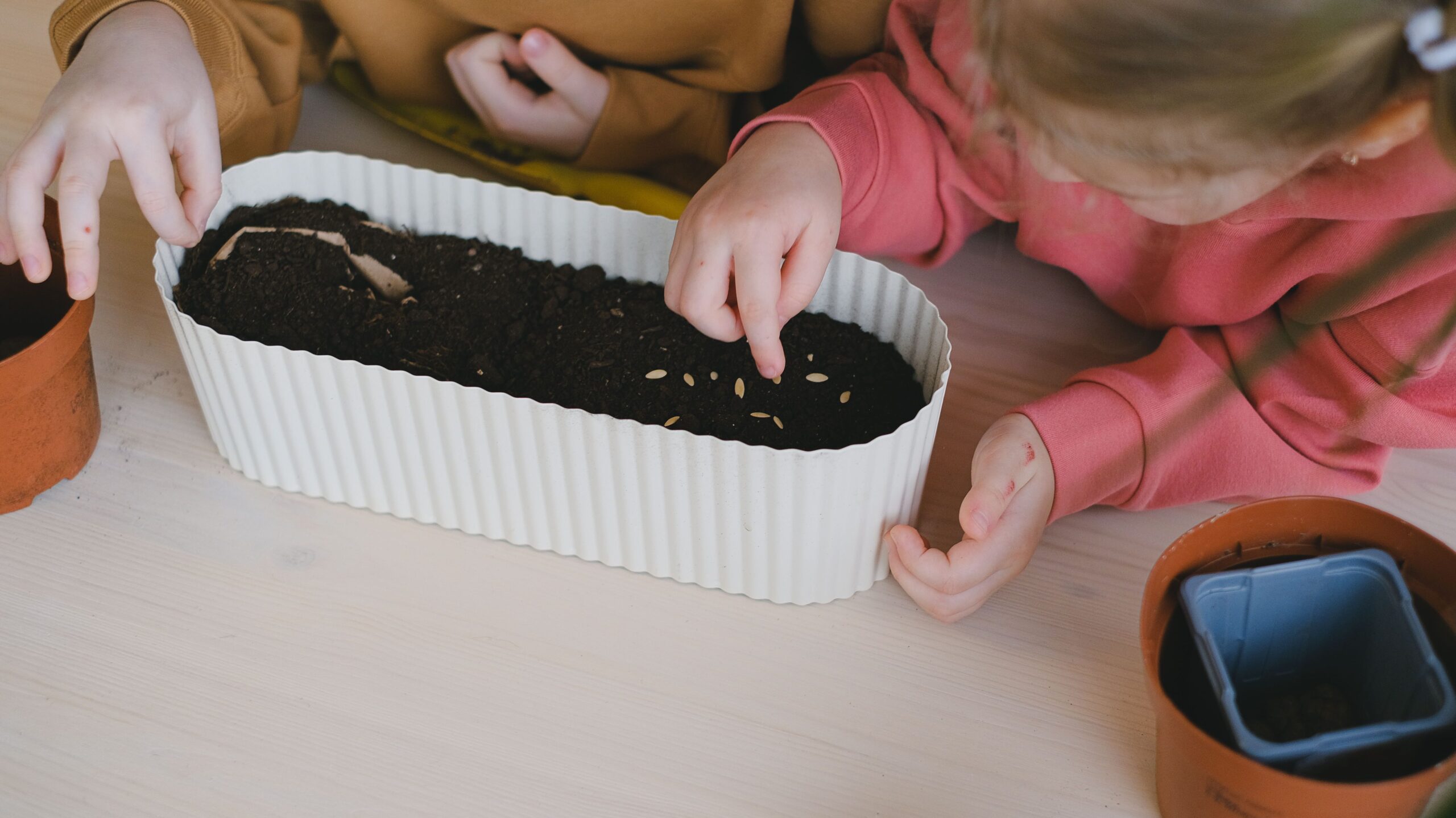 how to teach kids about plants and seeds at home a fun, hands on guide (2)