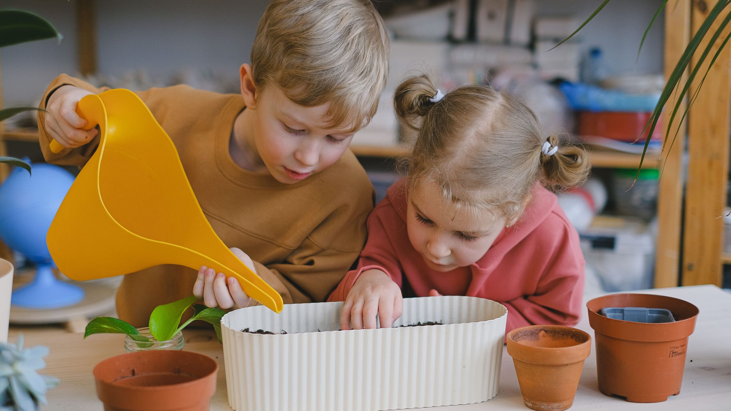 how to teach kids about plants and seeds at home a fun, hands on guide (4)