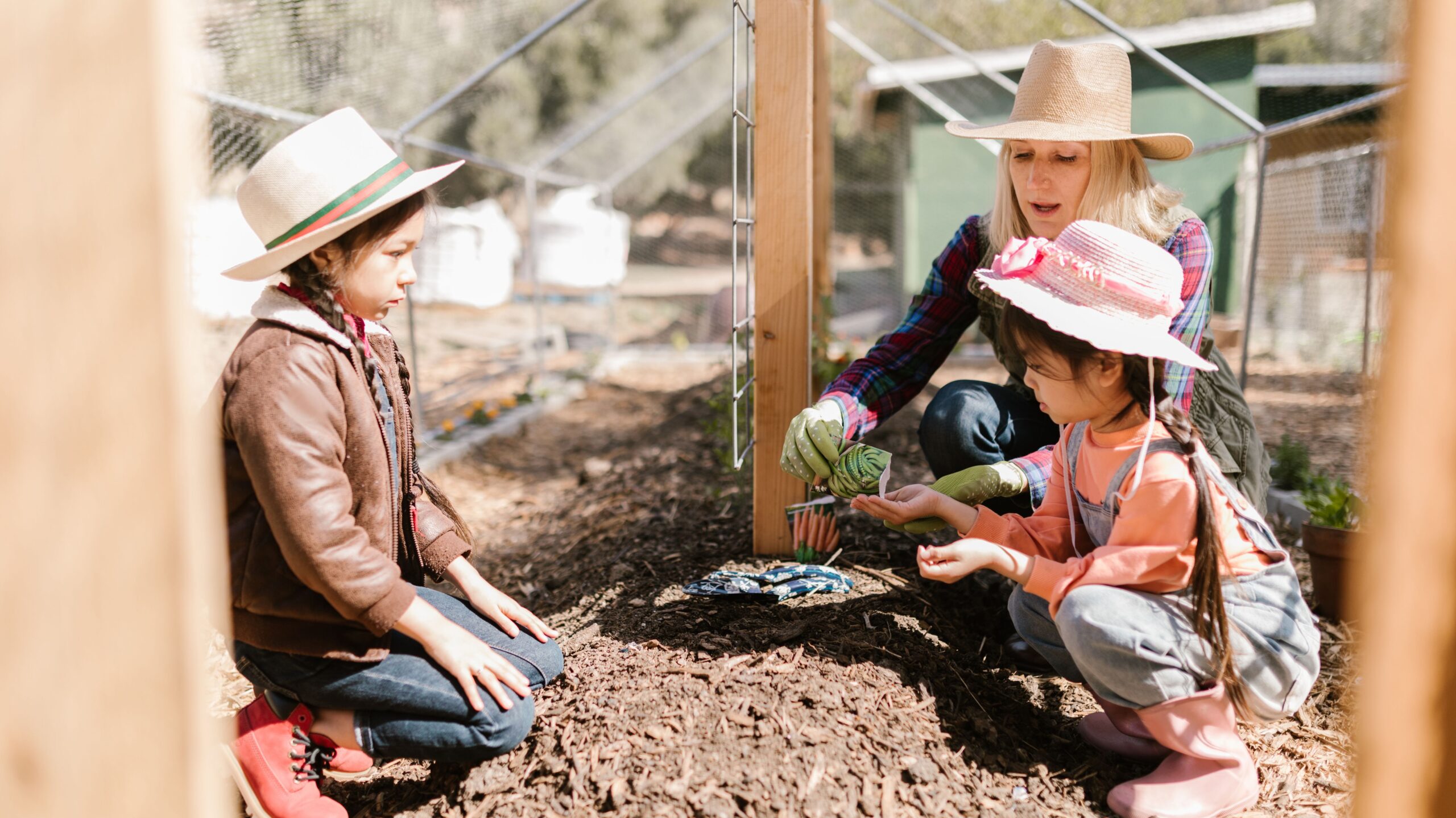 how to teach kids about plants and seeds at home a fun, hands on guide