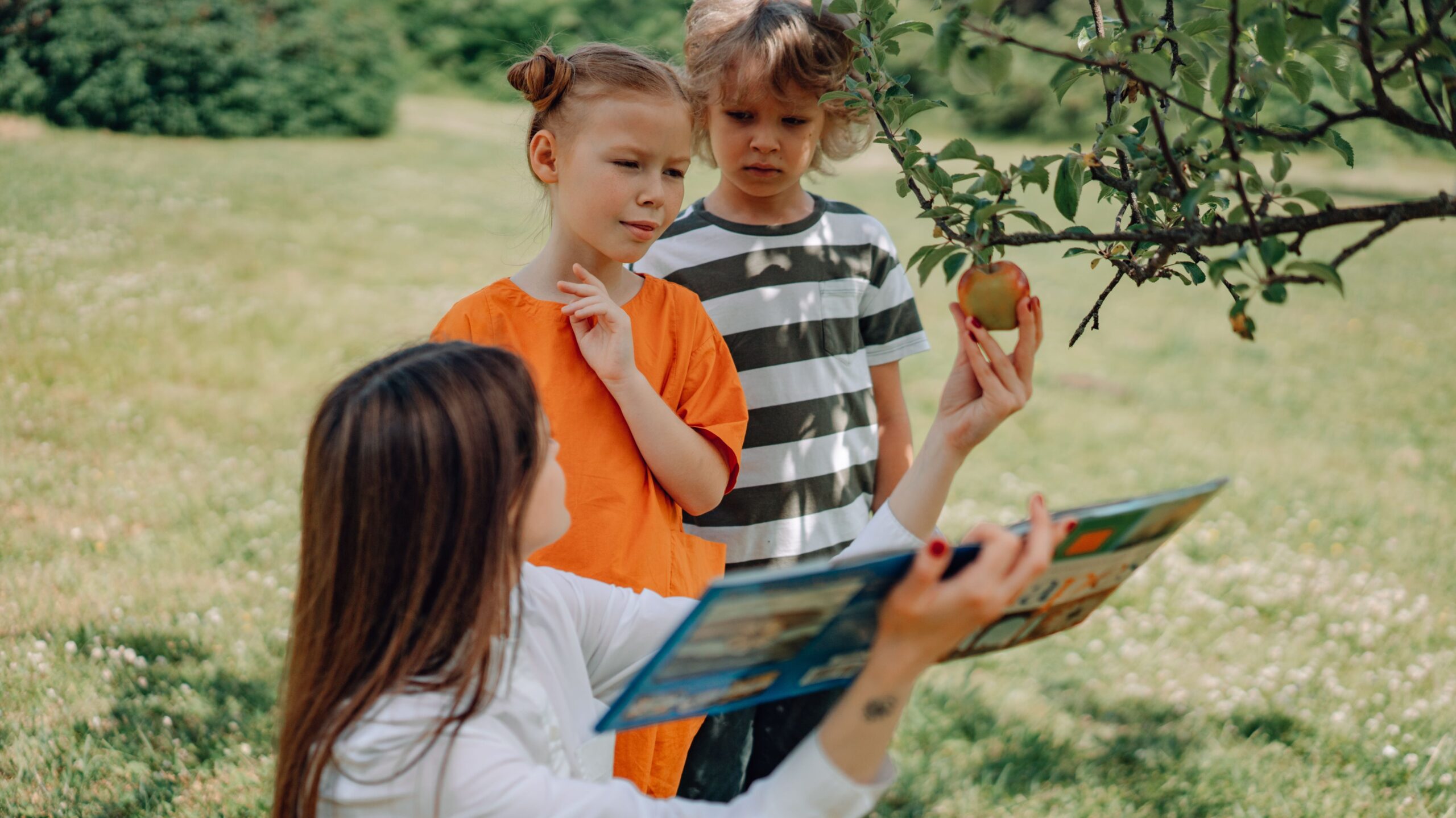 outdoor learning activities for kids taking education beyond the classroom