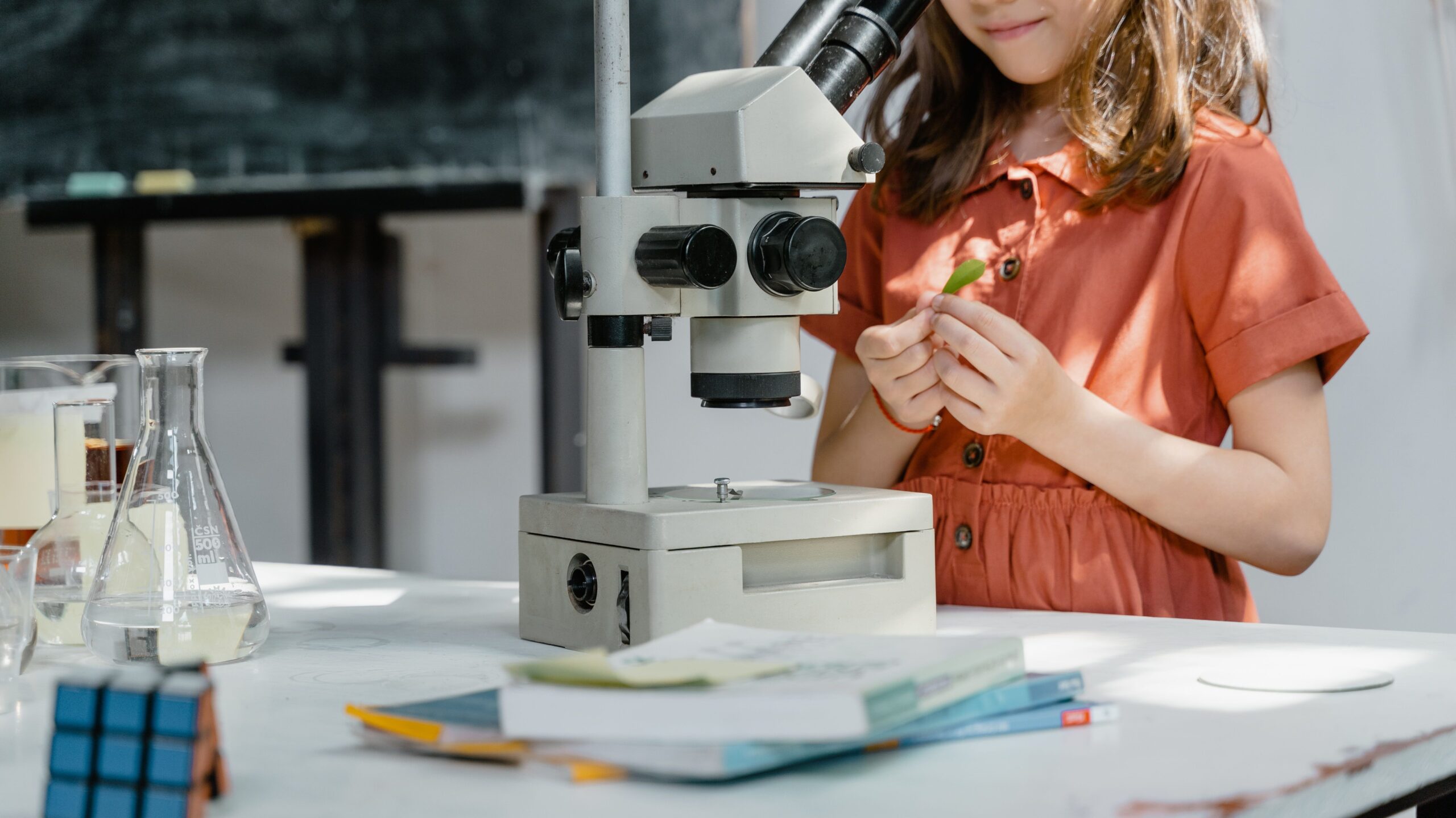 stem activities for kids (2)